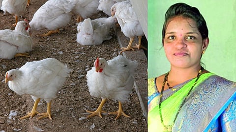 Poultry Farming By Self Help Group