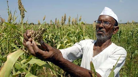 Crop Loan
