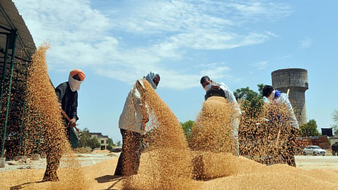 Agriculture Export