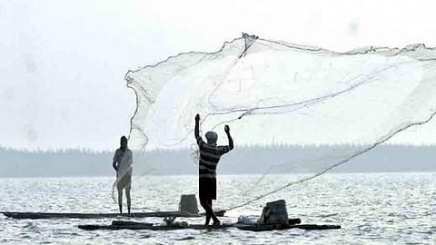 Fish Farming