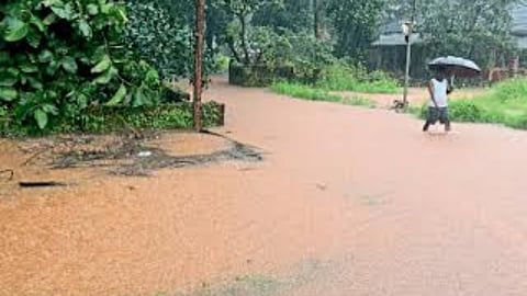 Rain Update