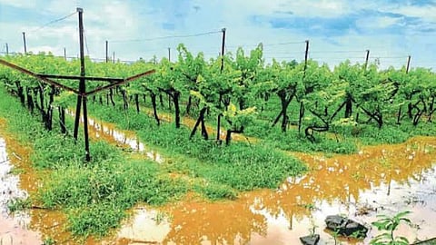 Heavy Rainfall