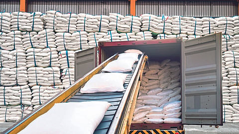 Sugar Market