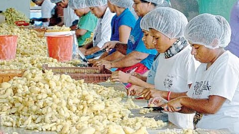 Food Processing