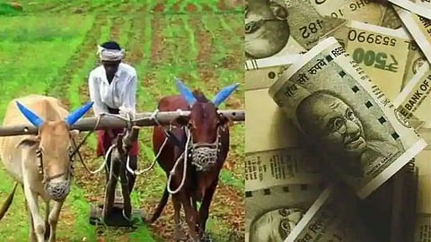 Crop Loan