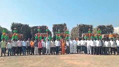 Sugarcane FRP