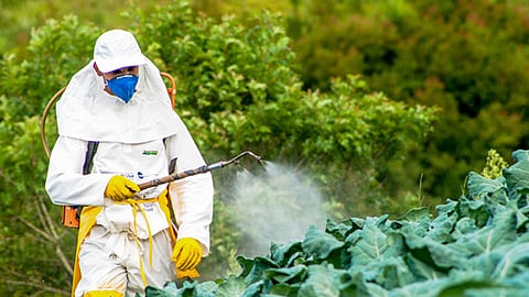 Pesticide