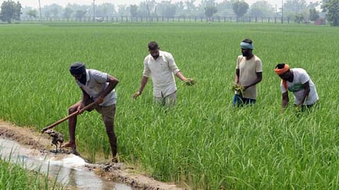 Government Scheme