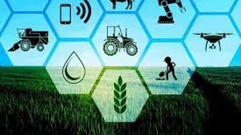 Modern Agriculture