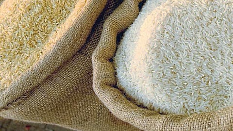 Rice Export