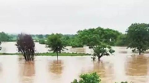 Rain Update