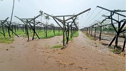 Rain Update