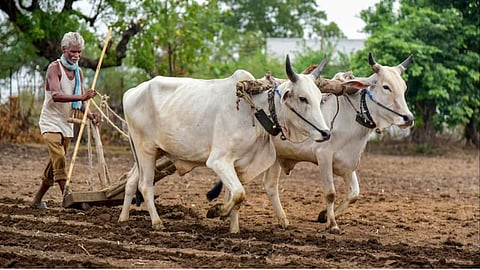 Agrowon Problem