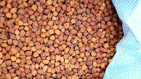 Chana Rate