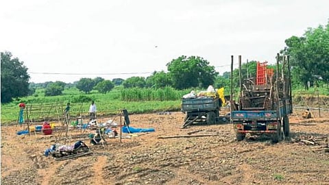 Sugarcane Harvesting