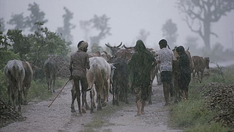 Rain