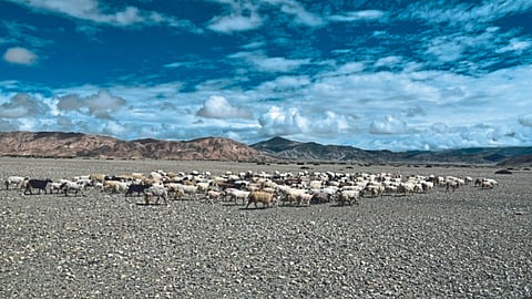 Climate Chnage