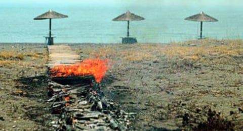 climate change