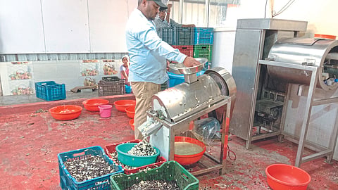 Food Processing