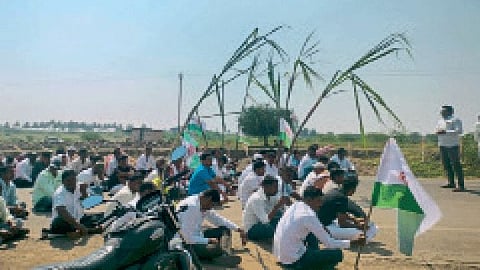 sugarcane Rate