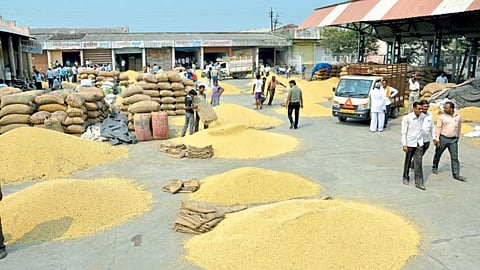 Soybean Rate