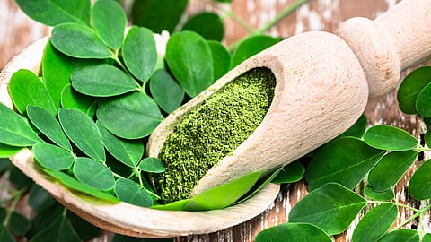 Moringa Powder