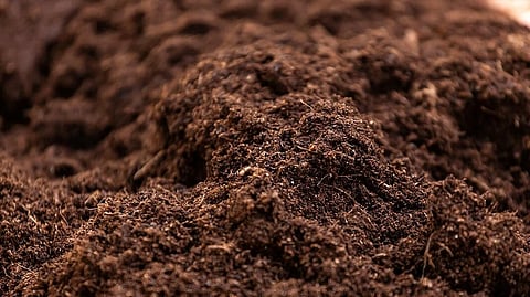 Soil