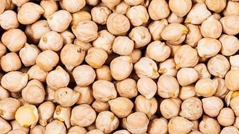 Kabuli Chana Market Rate