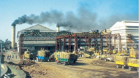 Sugar Factory Election