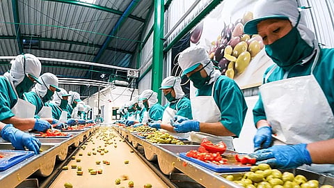Food Processing Scheme | Food Processing