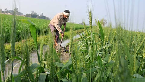 Agriculture Practices