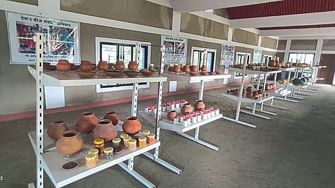 Seed Bank