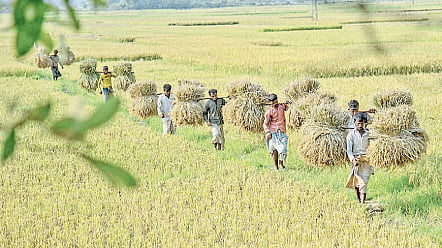 Agriculture