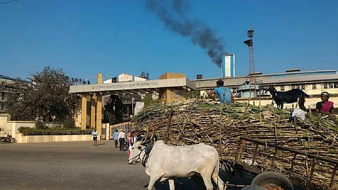 Sugarcane Crushing