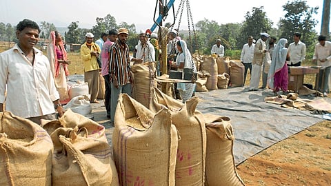 Moong Udid Soybean Market