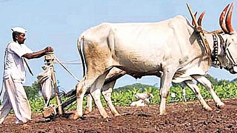 Farmer Help