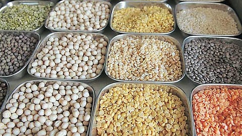 Pulse Production