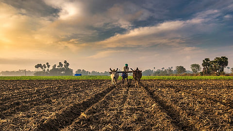 Indian Agriculture