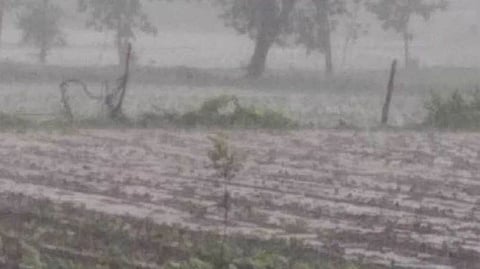 Rain Update