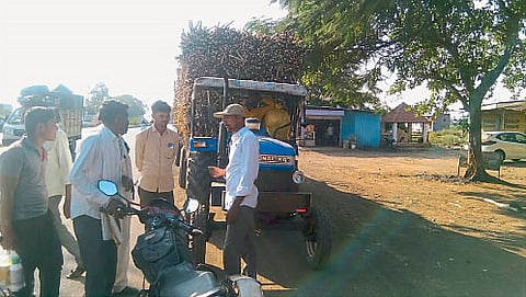 Sugarcane farmers