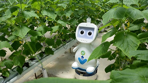 Robot For Agriculture
