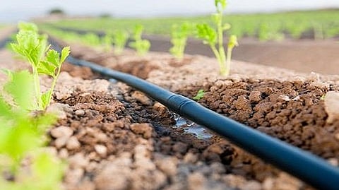 Irrigation Department