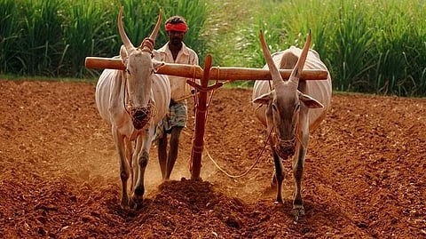 farmer