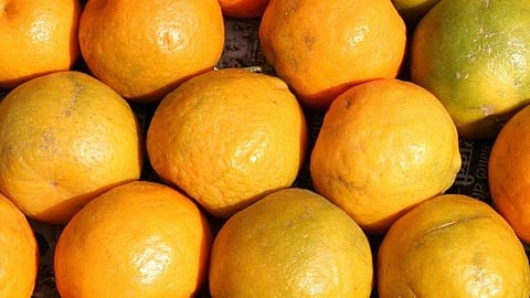 Orange Growers
