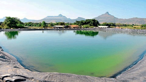 Farm Pond