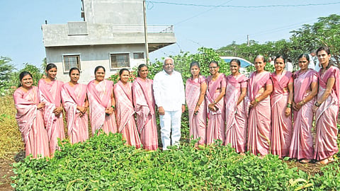 Deshi Seeds