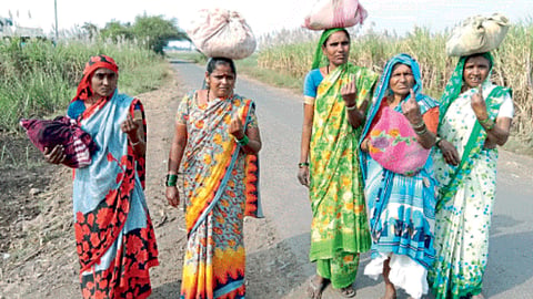 Gram Panchayat Election