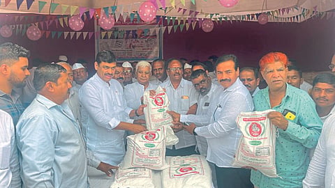 Rice Festival