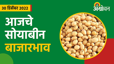 Soybean rate