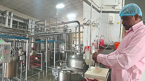 Milk Collection